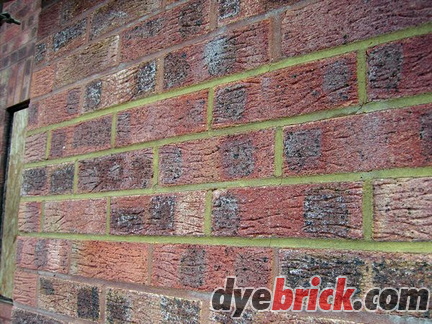 Straw Brown Tint 3.jpg